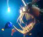 Nemo Angler Fish
